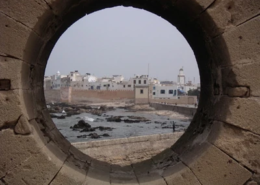 20080430-dissipe-dissipe-mini