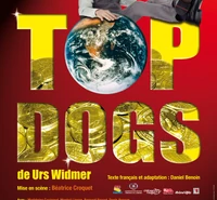 20090122-top-dogs-mini