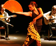 20090919-flamenco-en-vivo-mini