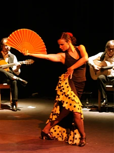 20090919-flamenco-en-vivo-mini