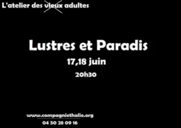 20100617-lustres-et-paradis-mini