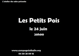 20100624-les-petits-pois-mini
