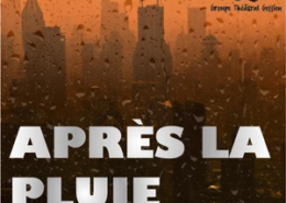 20161207-apres-la-pluie-mini