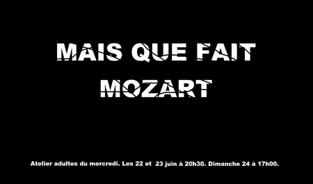 20180622-mais-que-fait-mozart-mini
